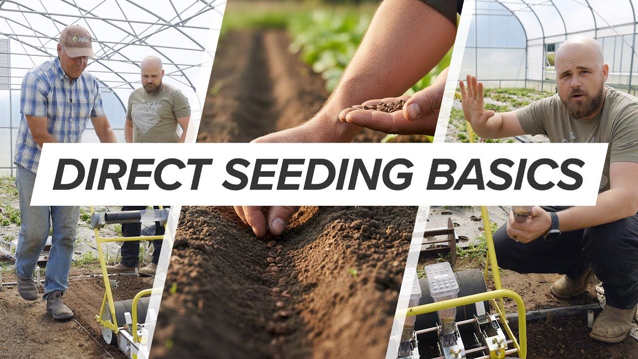 How to Direct Seed on Your Market Farm: From Hand Seeding to the