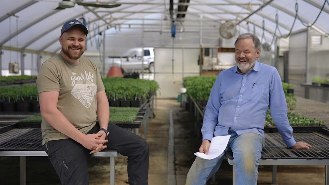 What to Do When Your Market Garden Isn't Making Money