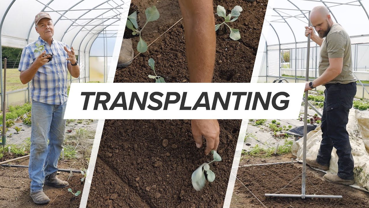 How to Mark Beds and Transplant Efficiently on Your Small-Scale Farm