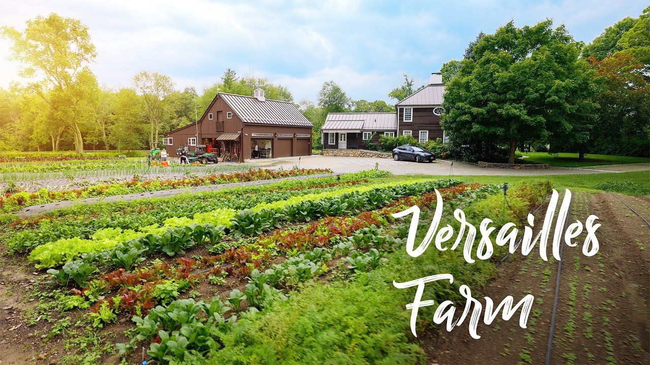 THRIVING Golf-Course Community Farm in the Wealthiest Corner of America