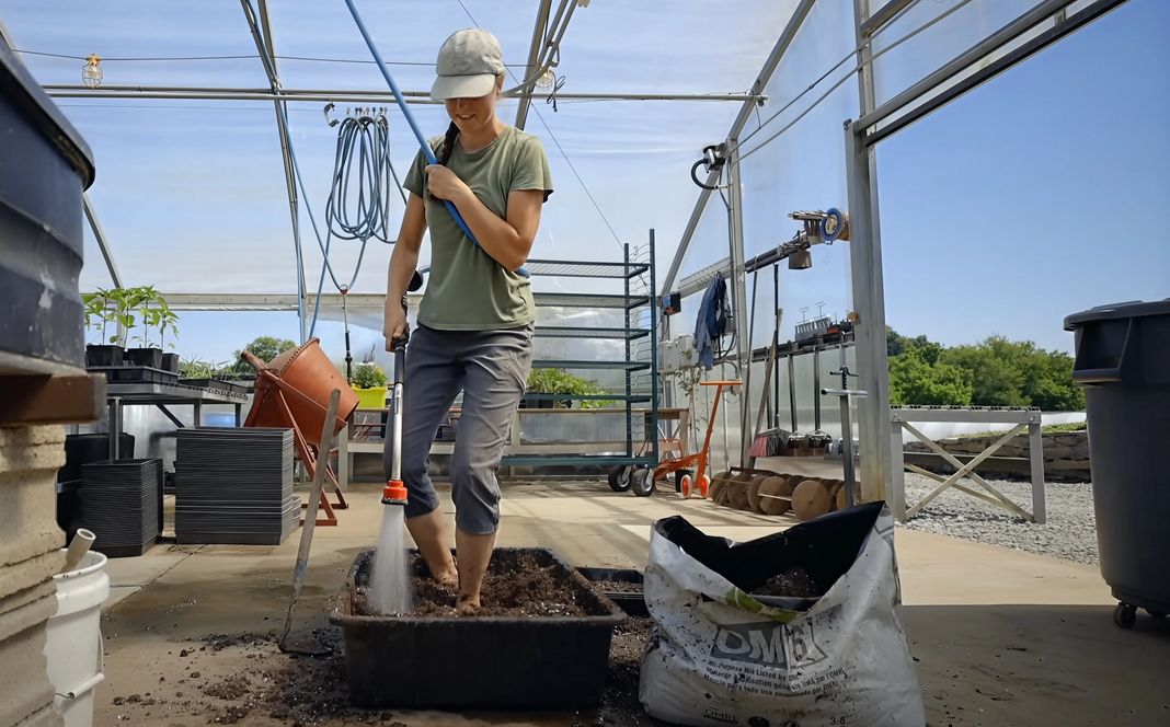 Mixing potting soil with water to make soil blocks for planting transplants.