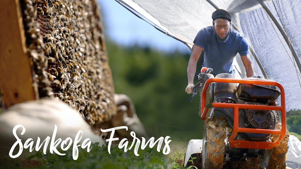 Startup Honey & Vegetable Farm + School in North Carolina!