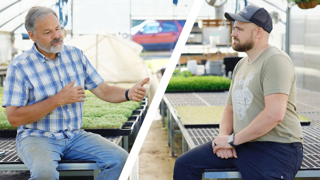 Defeating Cucumber Beetles Organically