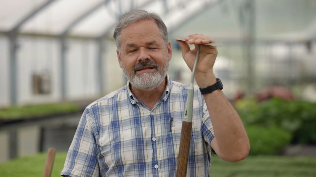 How to Cultivate Weeds on Your Market Farm (Before They Become a Problem)