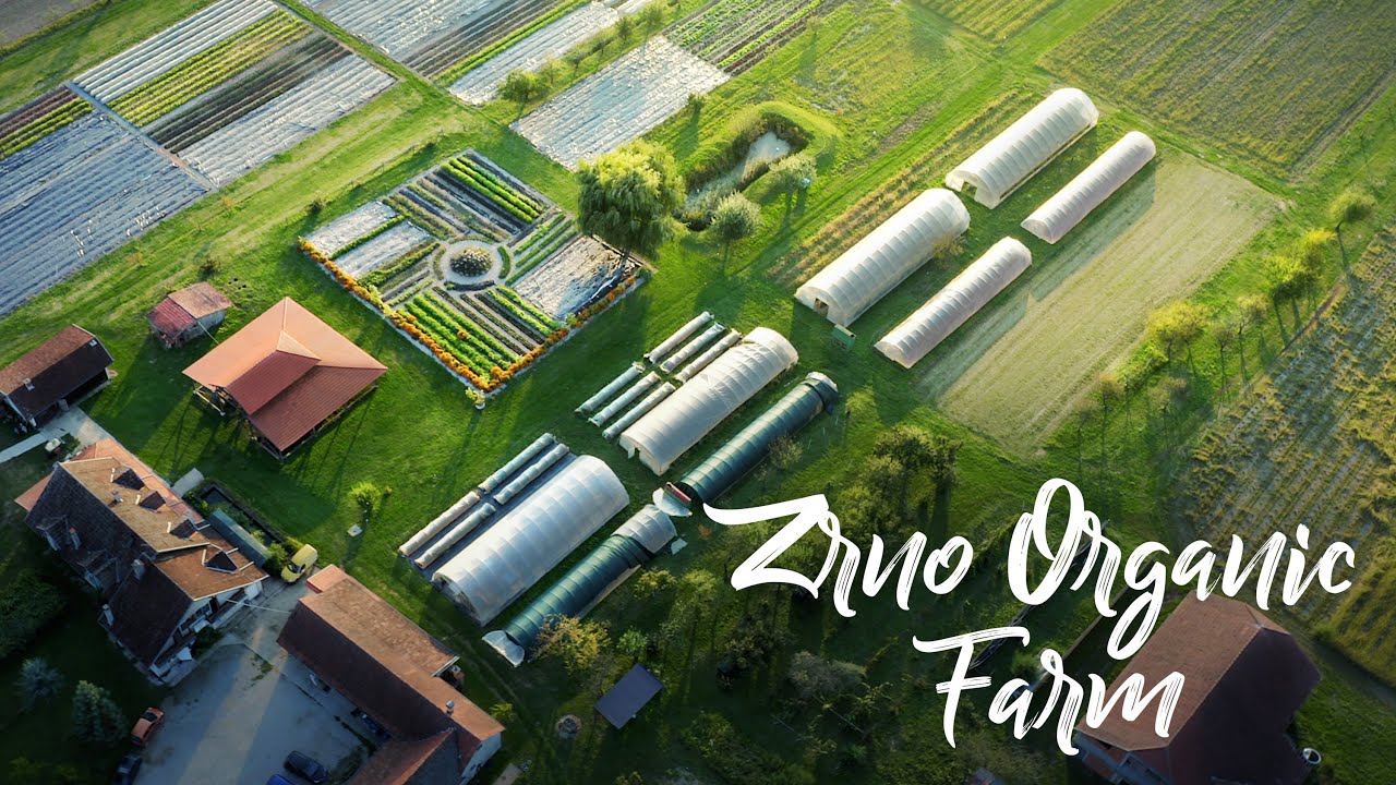 BREATHTAKING Farm Pioneering Organics in Croatia!