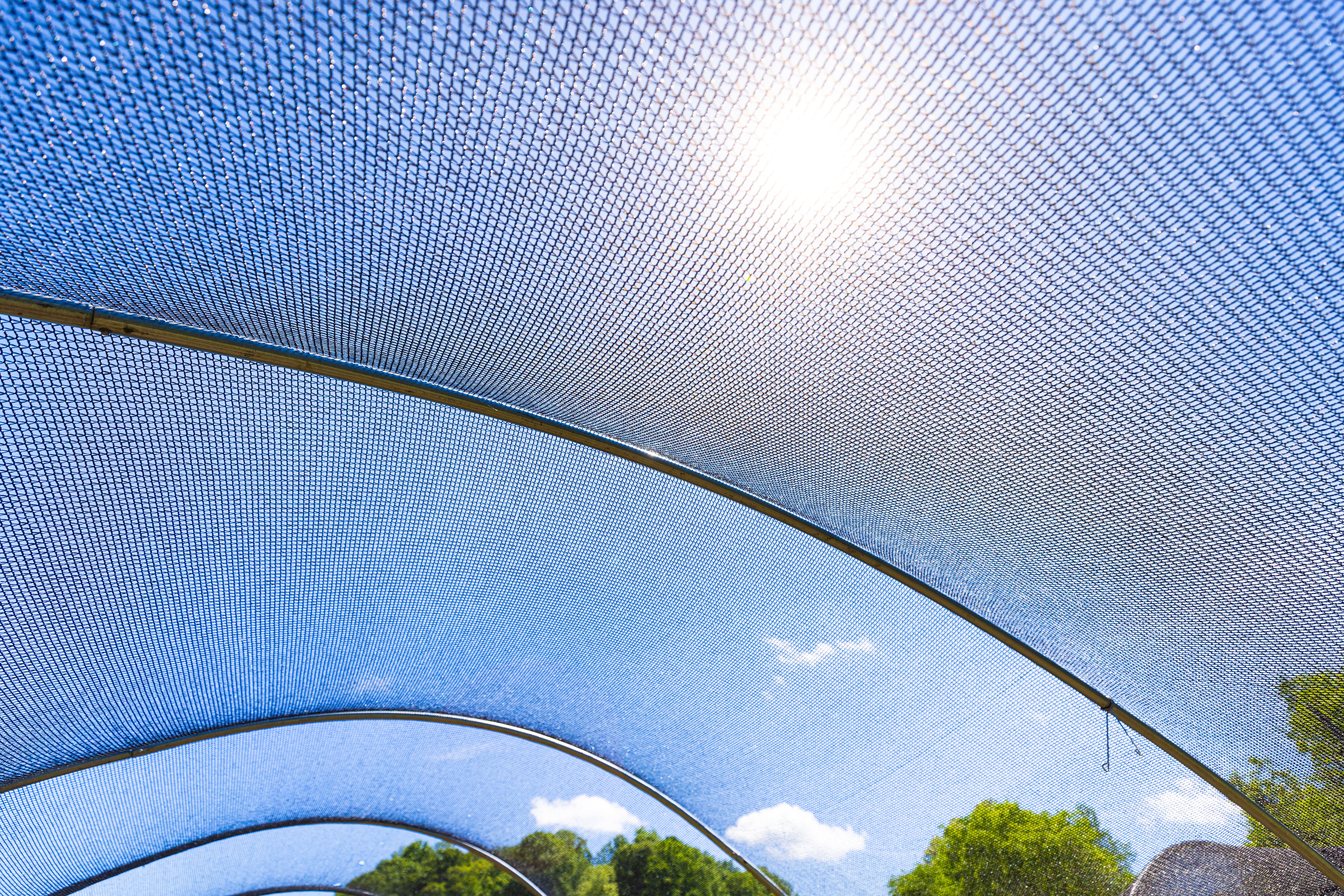 Shade cloth for cooling Salanova