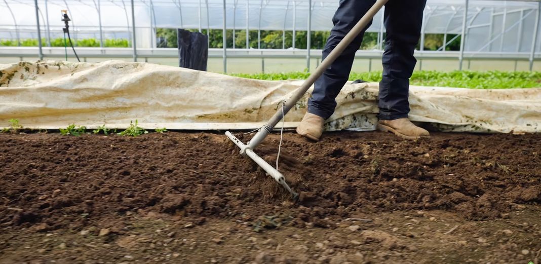 Preparing soil for planting Salanova