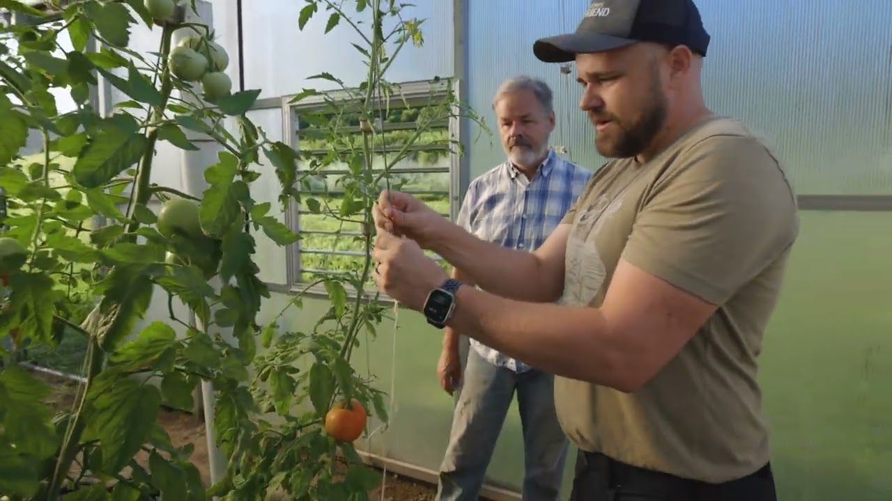 Master Greenhouse Trellising with the Qlipr System