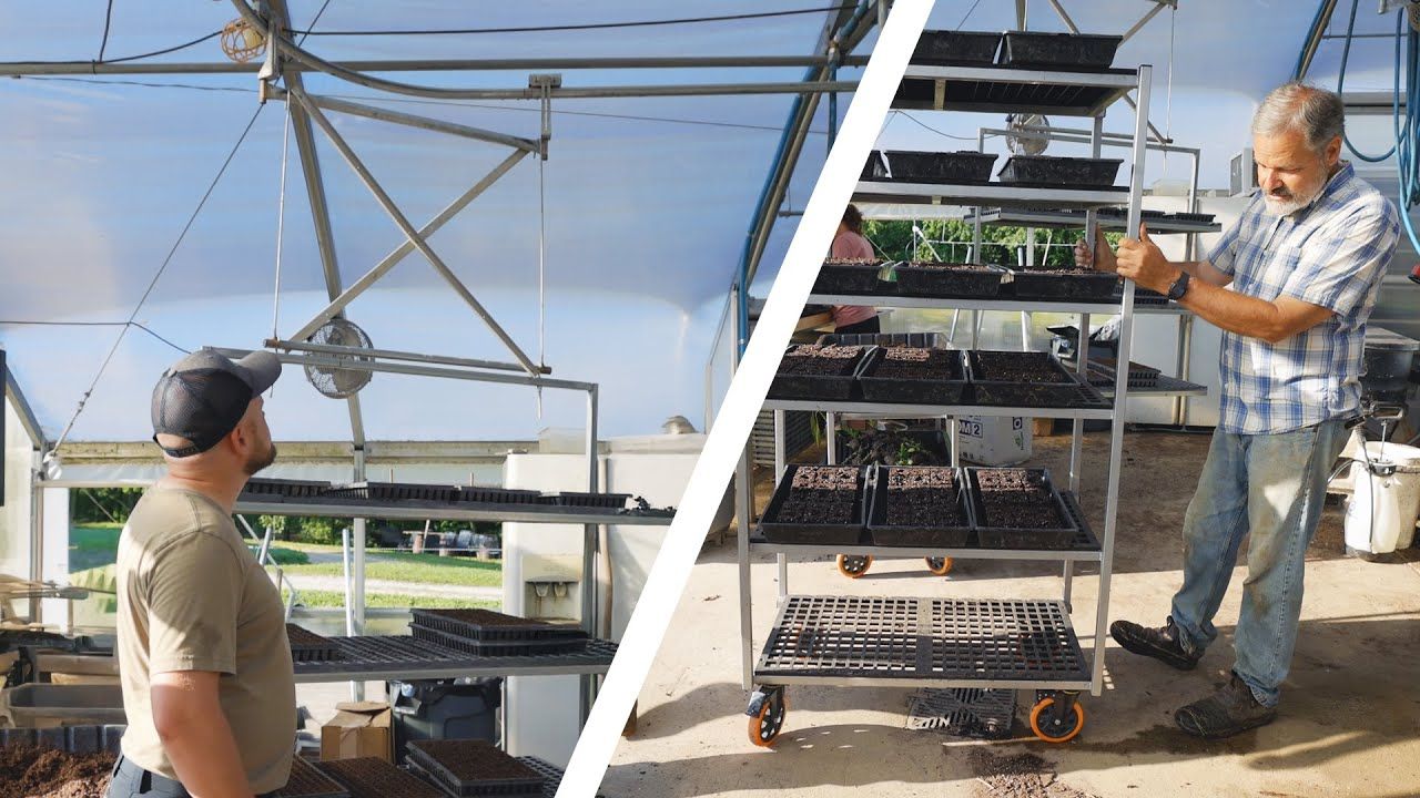 How to Move Trays Efficiently in Your Propagation Greenhouse