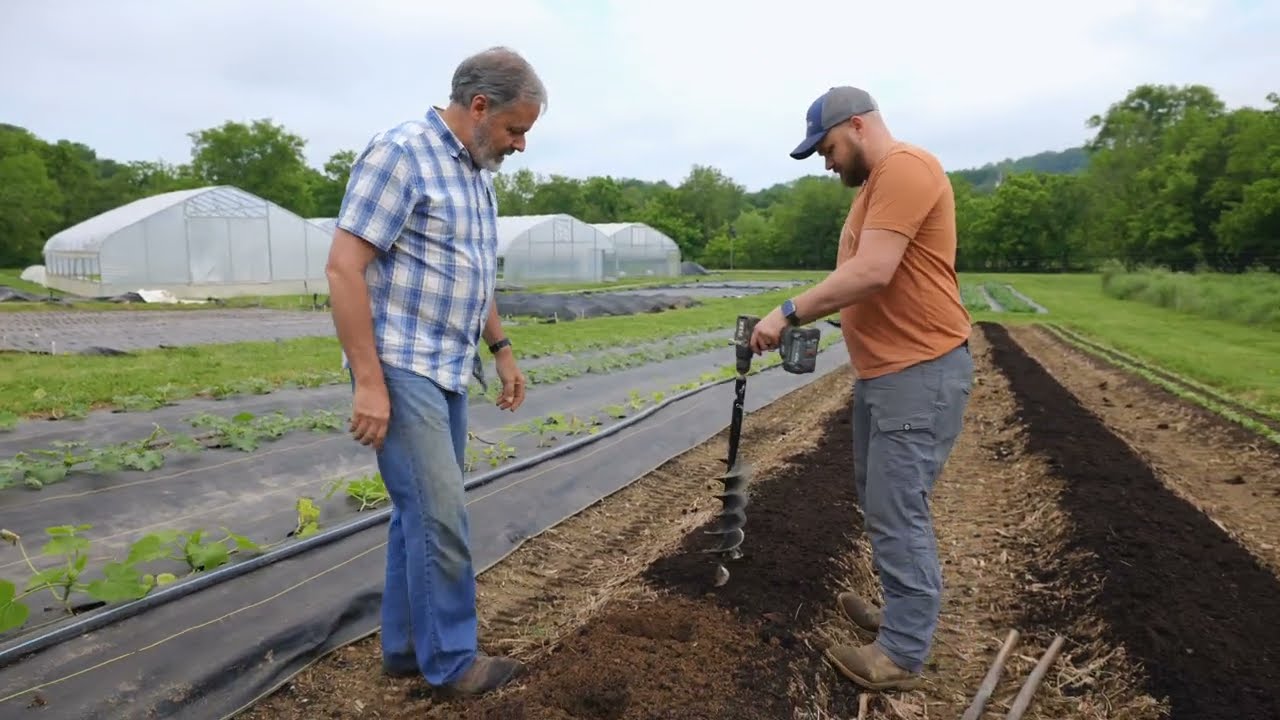The Fastest Way to Plant Large Transplants on Your Market Garden
