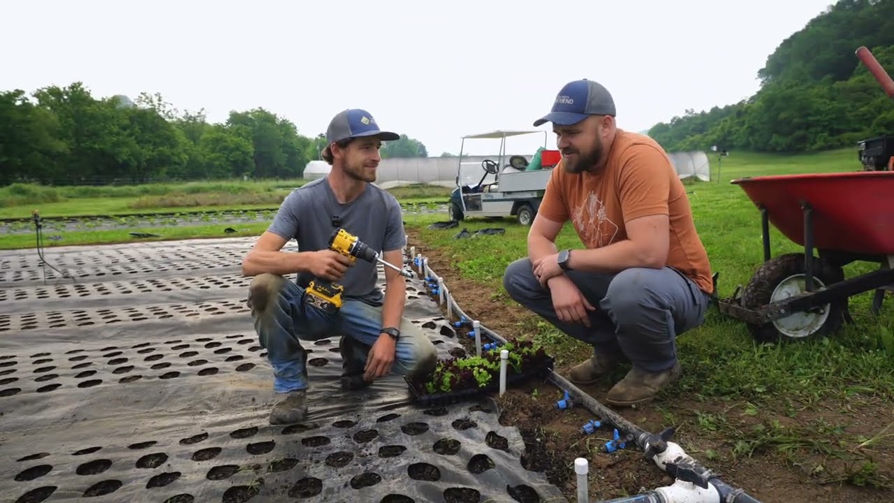 How to Plant Salanova Fast: The System Bountiful Blessings Farm Uses to Plant 540 Heads in 13 Minutes