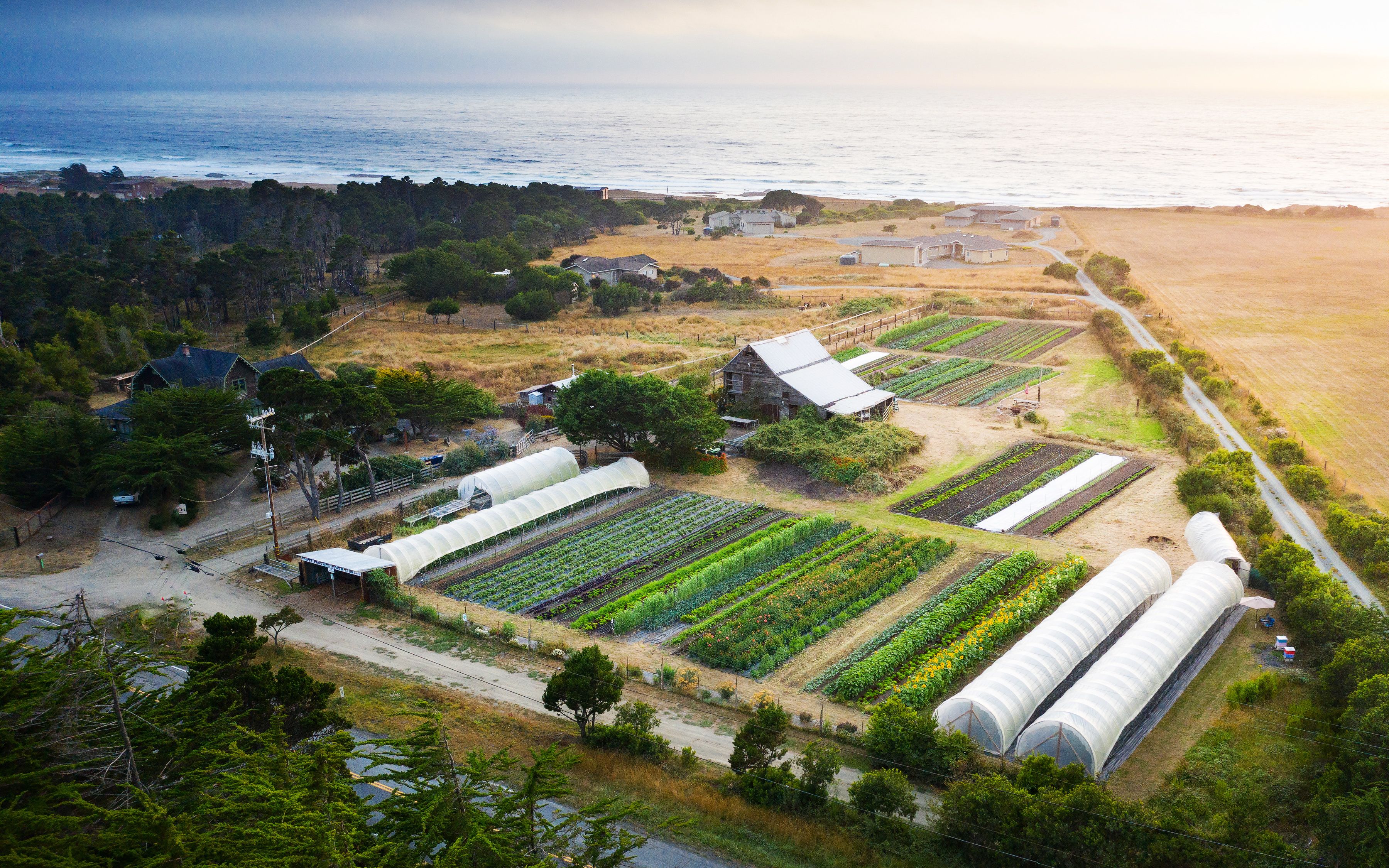 Hero image of Saying Goodbye to STUNNING OCEANFRONT Farm!
