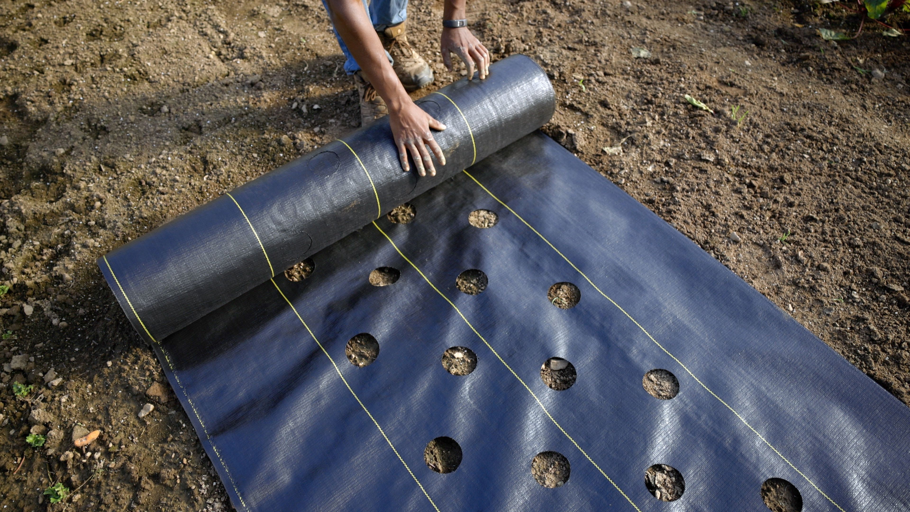 16 Best non fraying weed control fabric