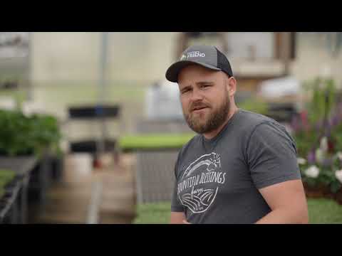 What Is a Stale Seedbed? How to Eliminate Weeds Before You Plant