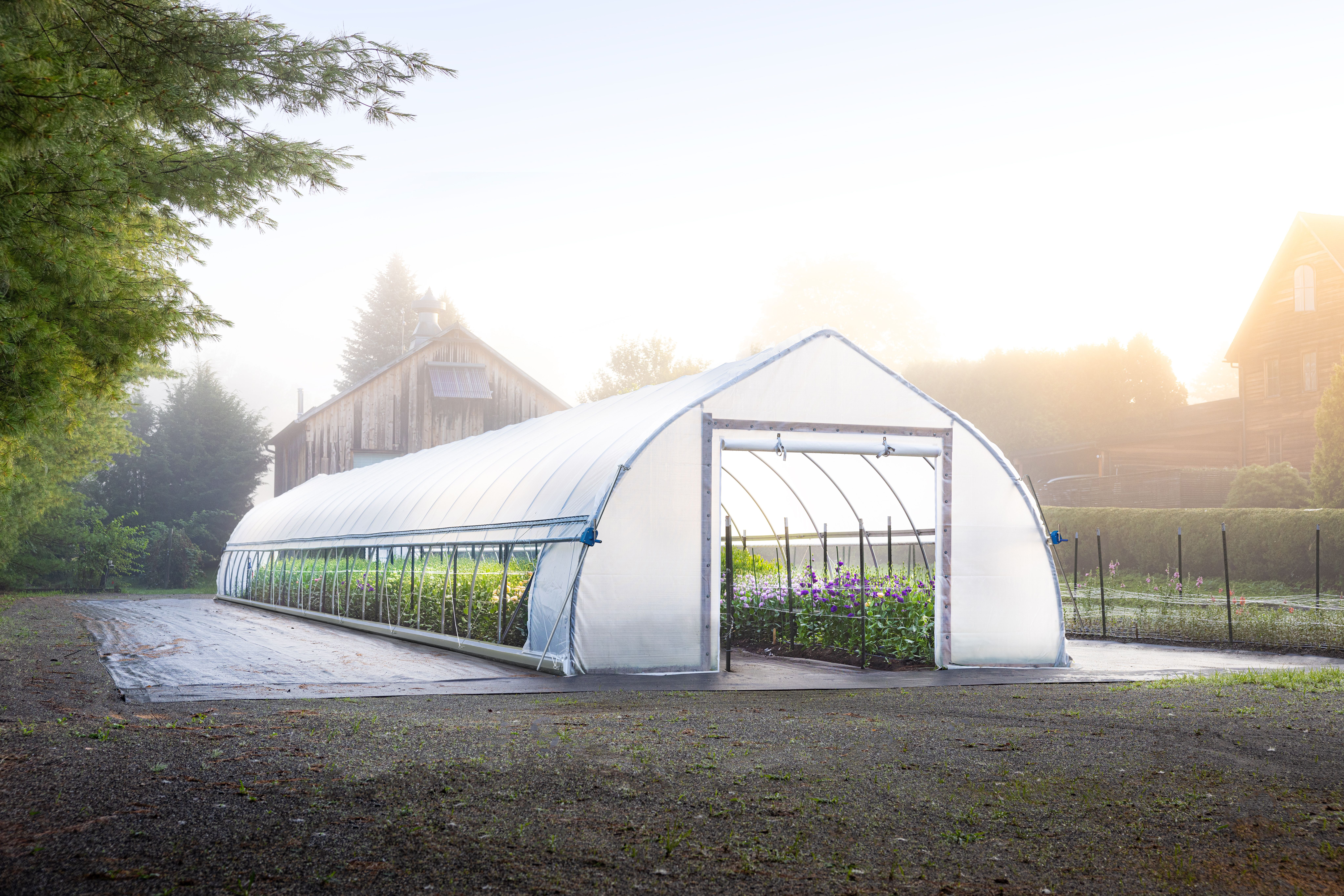 Hero image of The Haven High Tunnel