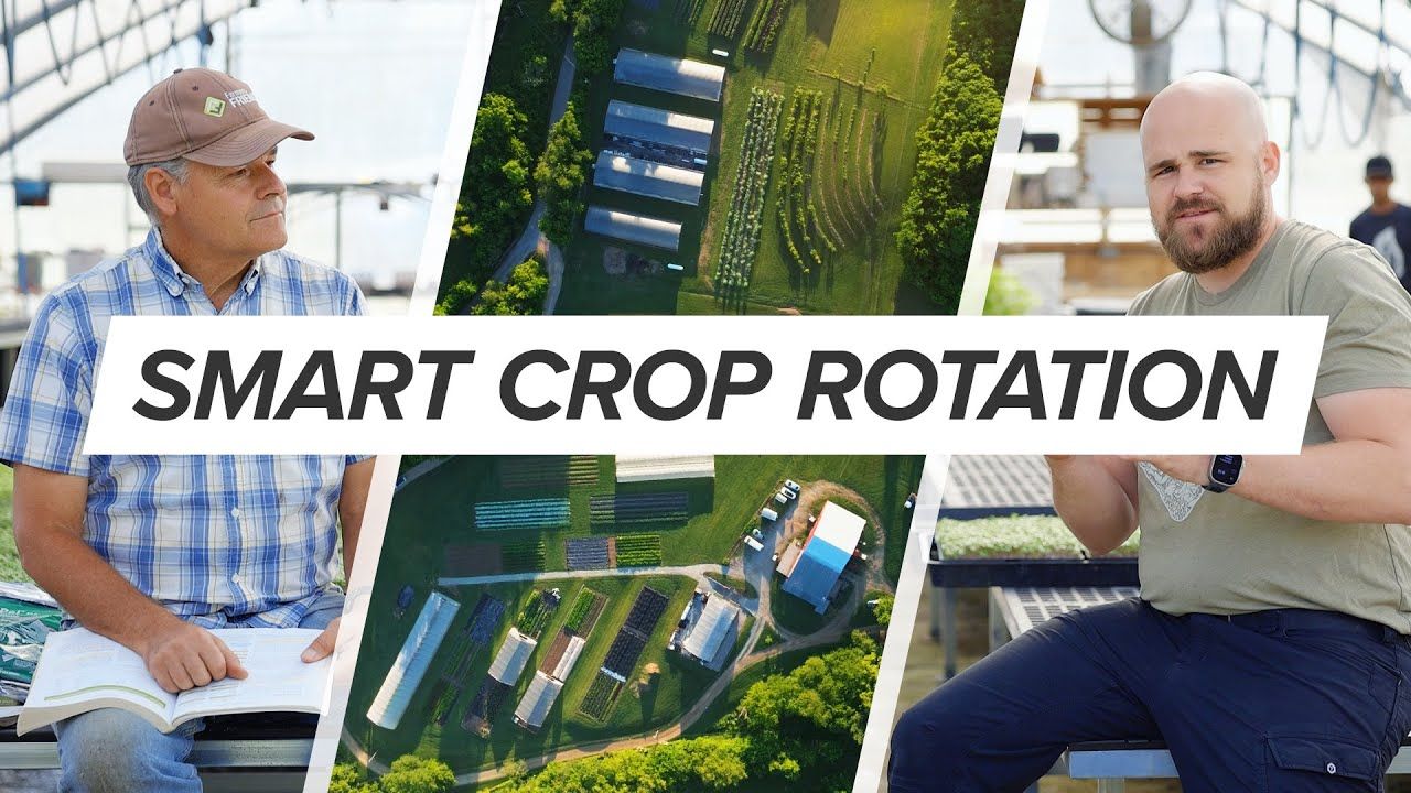 Crop Rotation for Market Farmers: A Practical Guide to Healthier Soil and Better Harvests