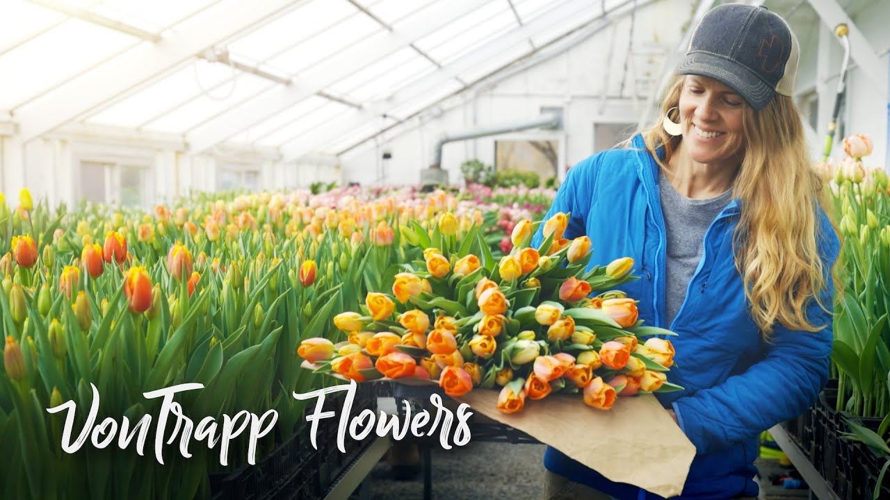 Shocking way to grow 200,000 GORGEOUS tulips in the WINTER in Vermont!