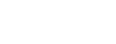 Flash logo