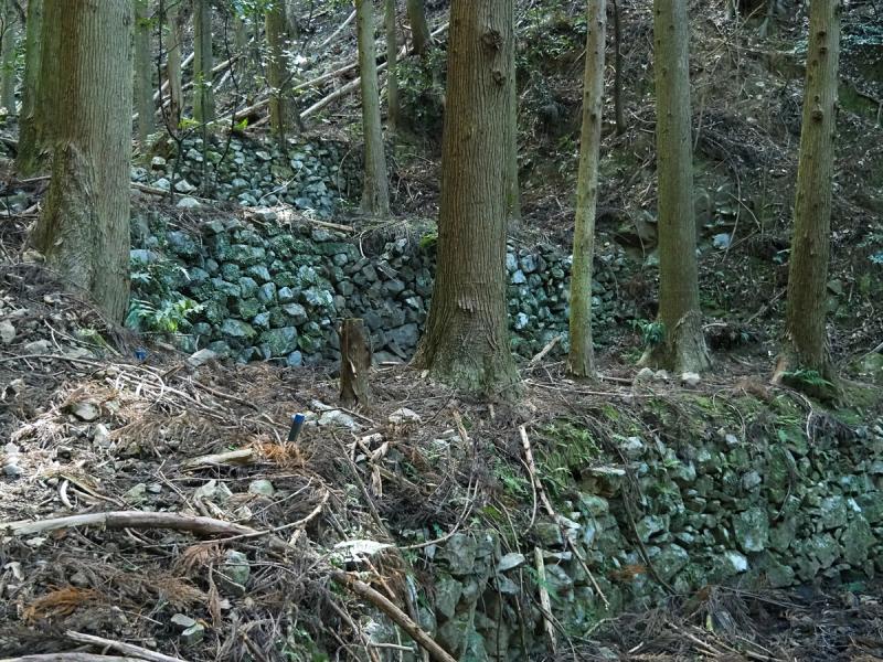九鬼の峠にて
石積の形状と平地の幅より昔は果樹園であったと予想されます。