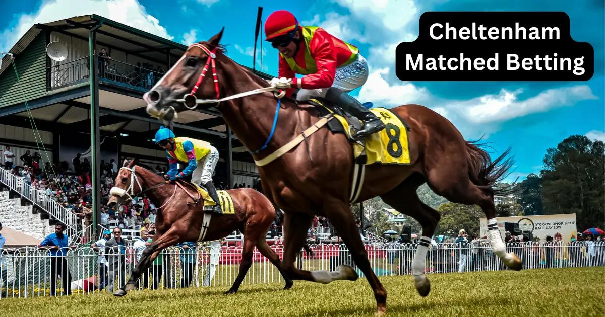 Cheltenham Matched Betting
