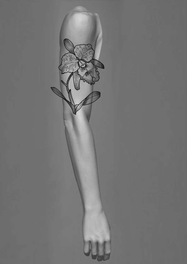 Isabel - Flash design