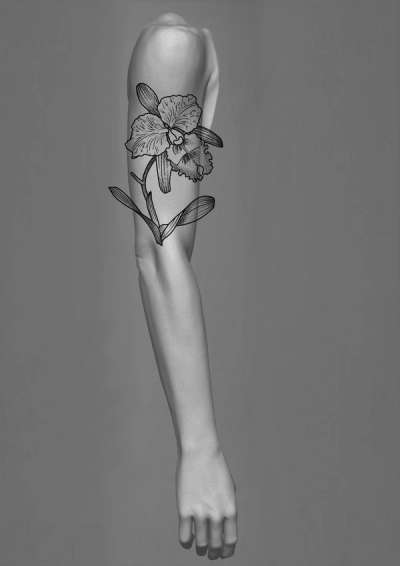 Isabel - Flash design