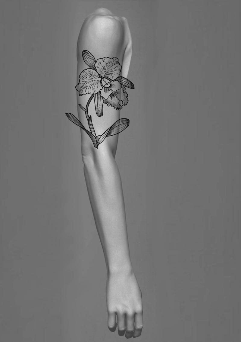 Isabel - Flash design