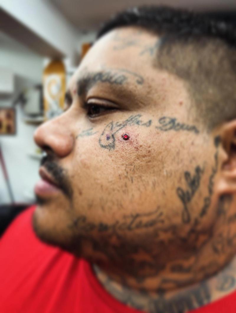 Hayley portfolio work