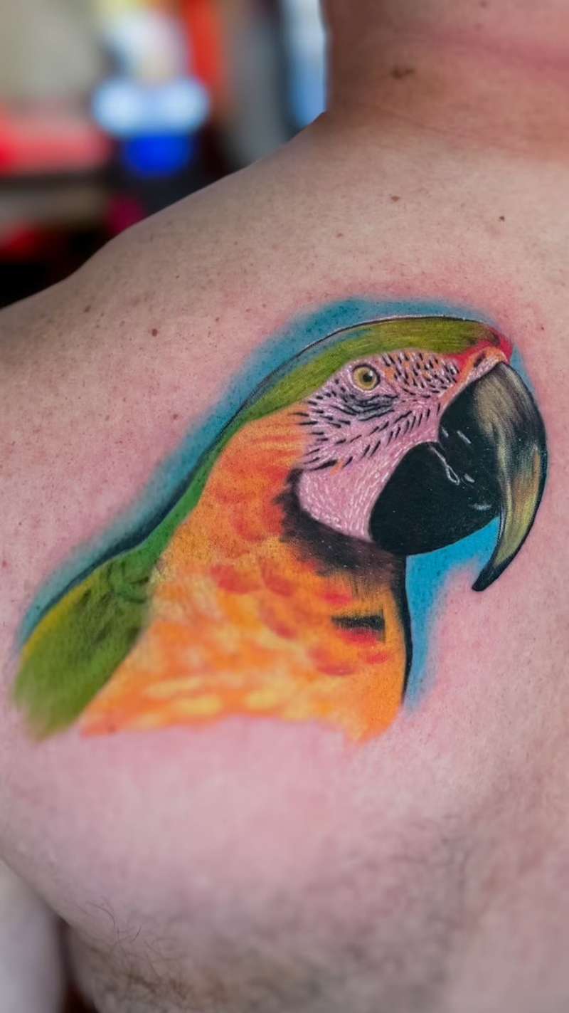 colorful parrot tattoo on upper back