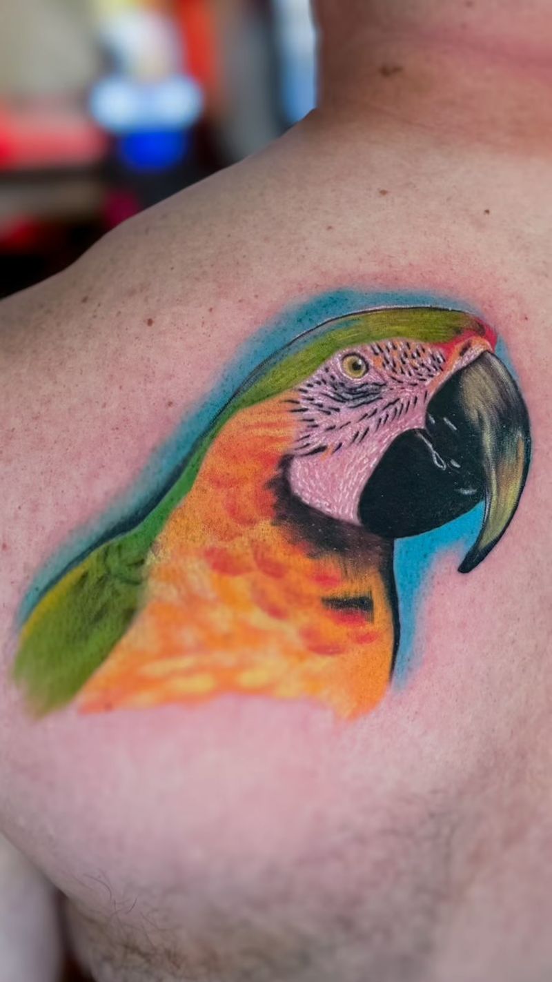 colorful parrot tattoo on upper back