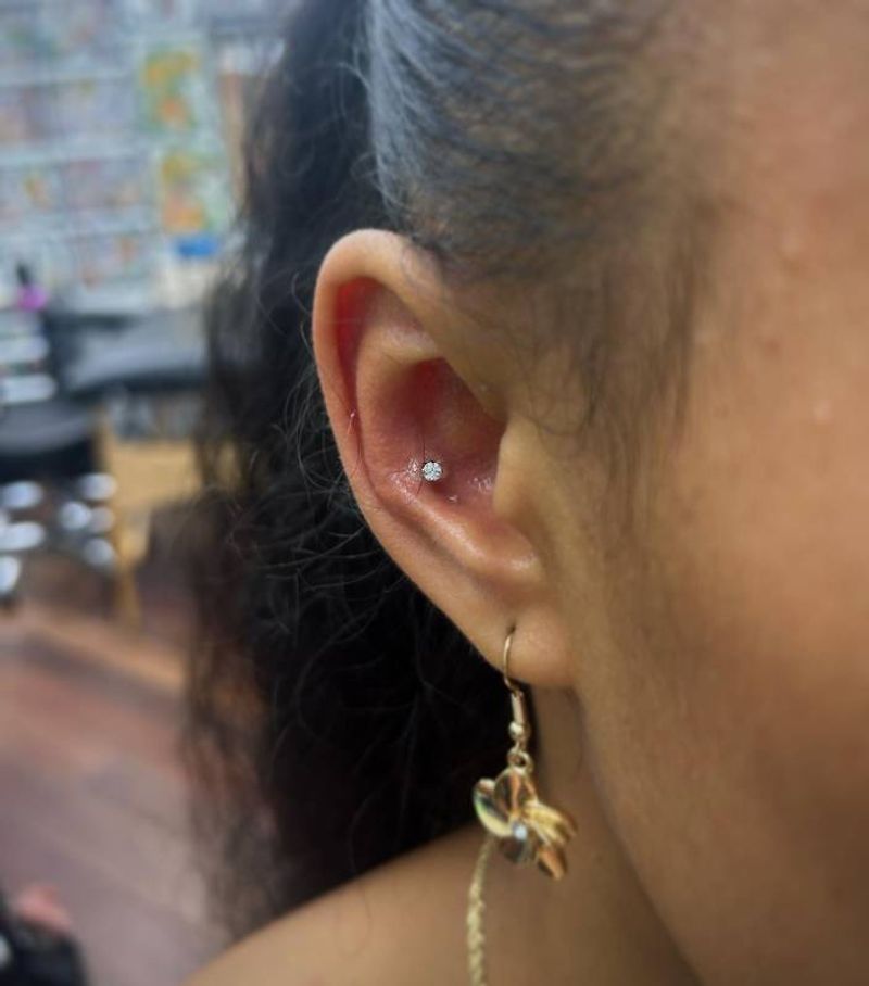 Hayley portfolio work