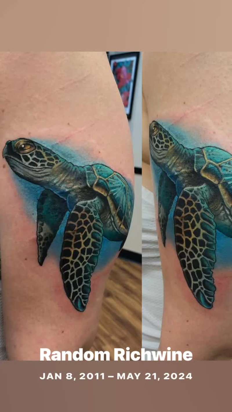 realistic sea turtle tattoo on upper arm