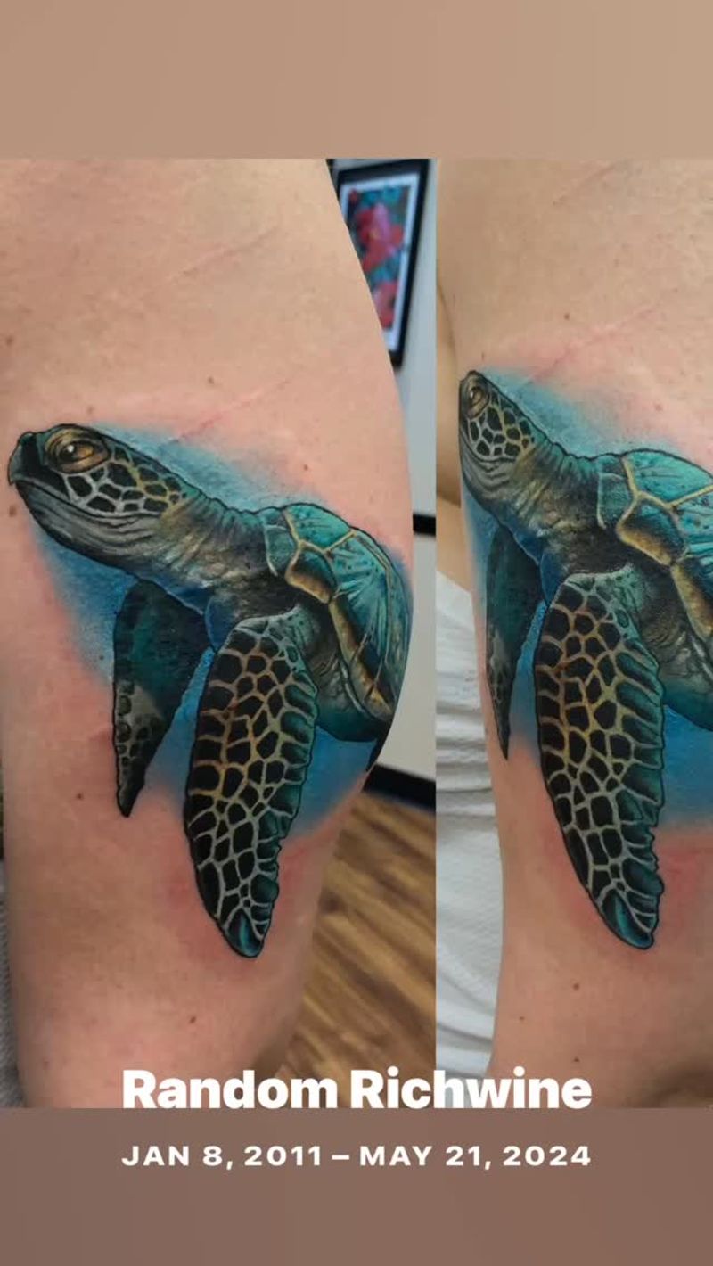 realistic sea turtle tattoo on upper arm