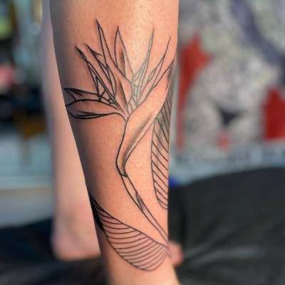 black line botanical tattoo on calf