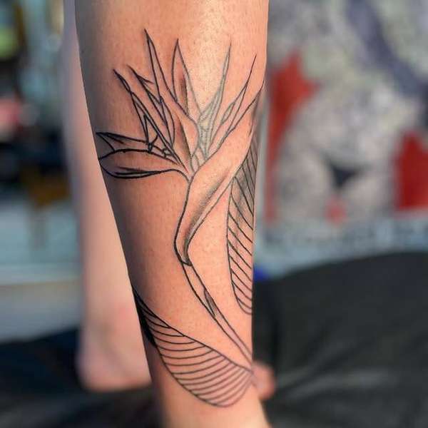 black line botanical tattoo on calf