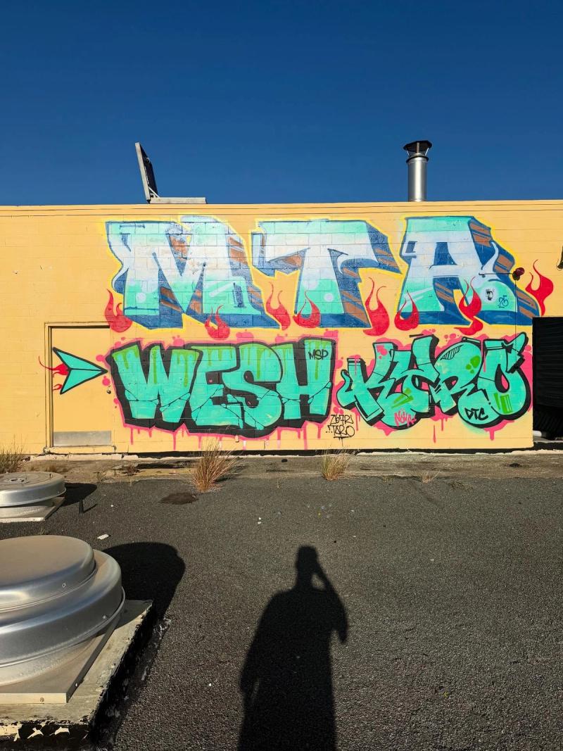 Wesh - Wesh Shapiro Portfolio 24