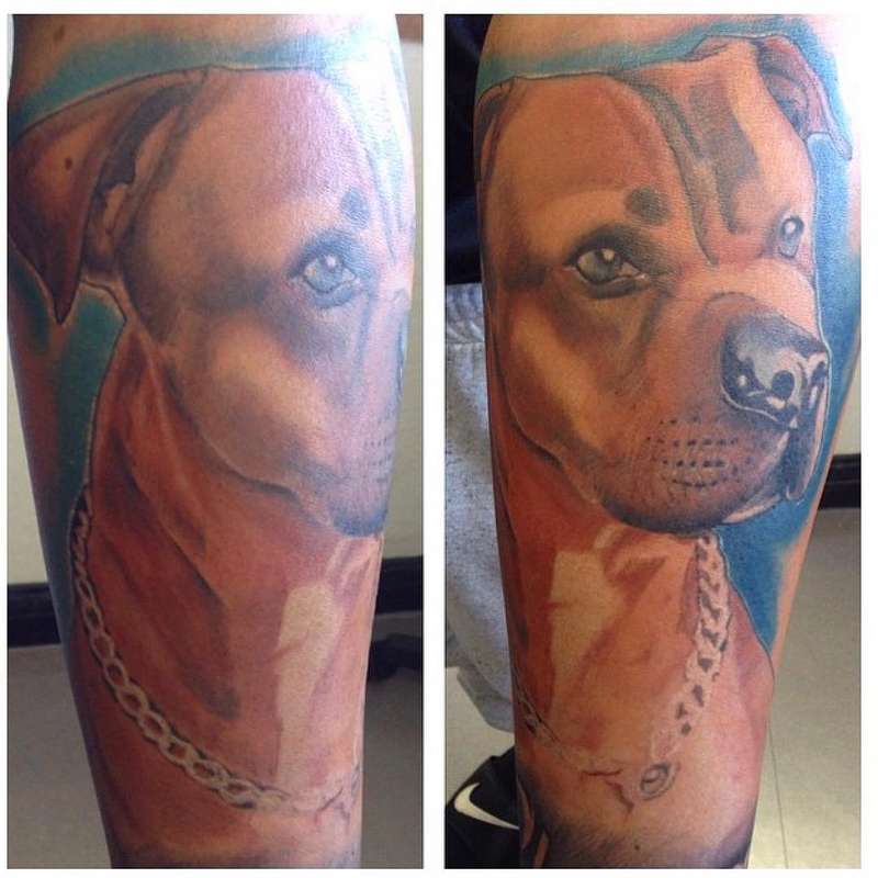 detailed color tattoo of a dog portrait on arm