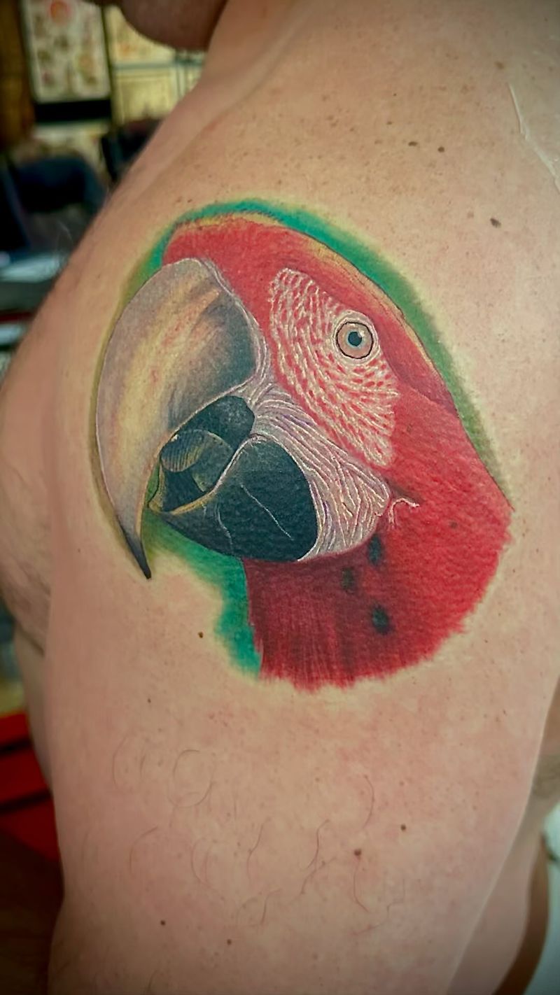colorful parrot tattoo on upper back