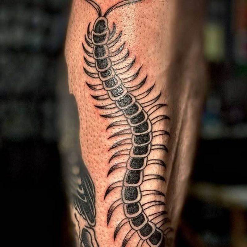black centipede tattoo on forearm