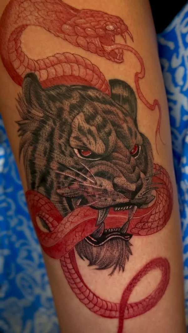 Spade - Spade Portfolio 85