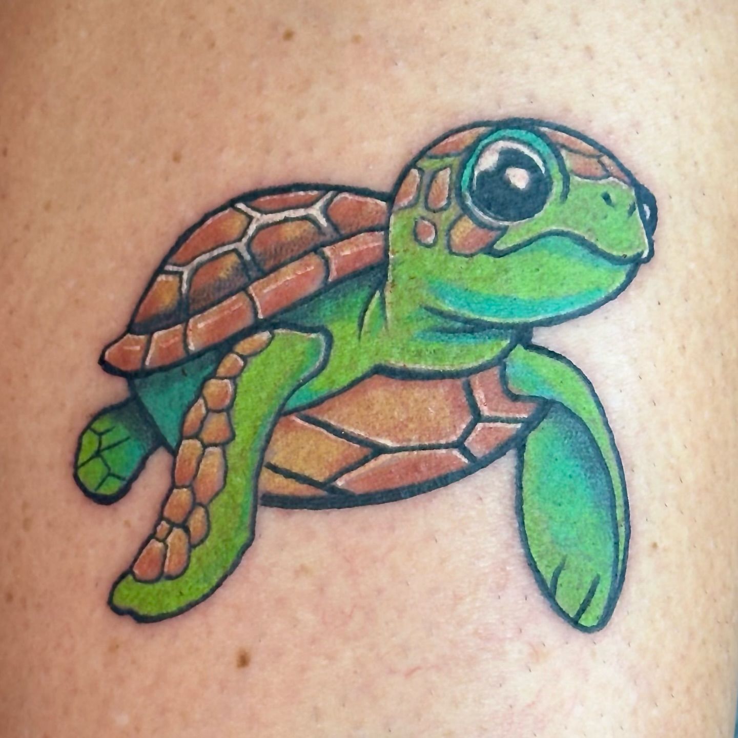 Colorful illustrative turtle tattoo with bold outlines