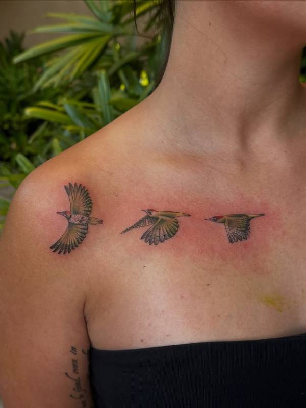 Colorful realistic birds flying across shoulder