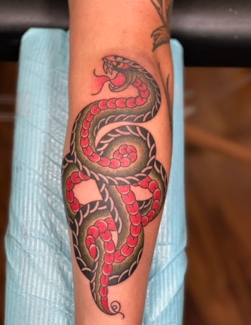 Colorful traditional style snake tattoo on forearm