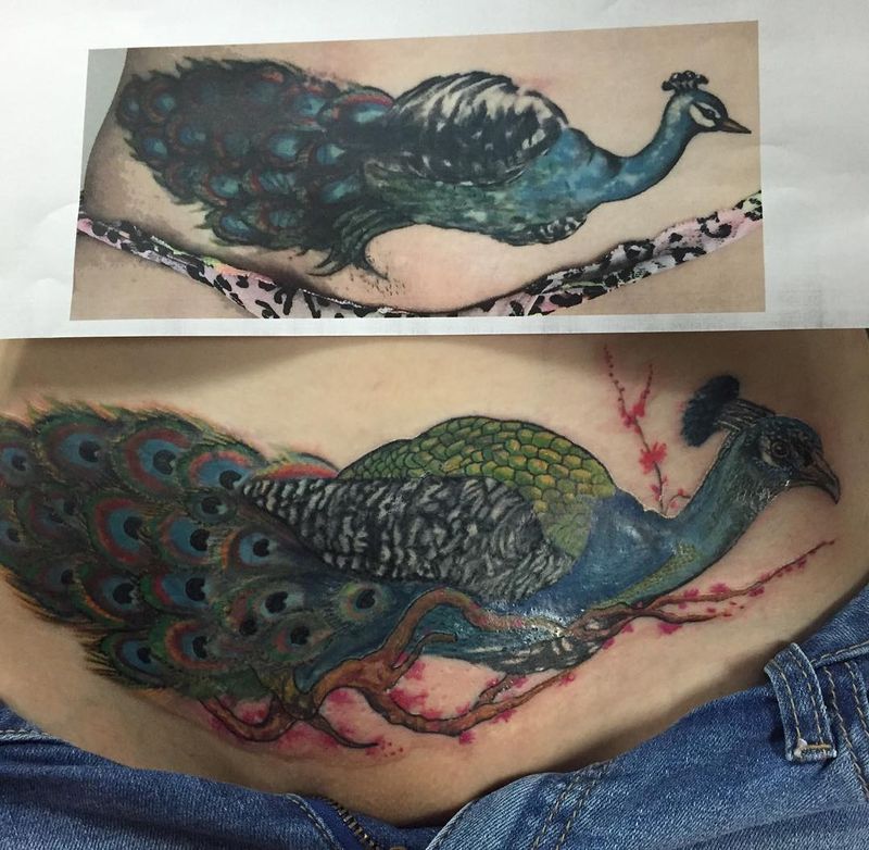 colorful illustrative peacock tattoo on torso