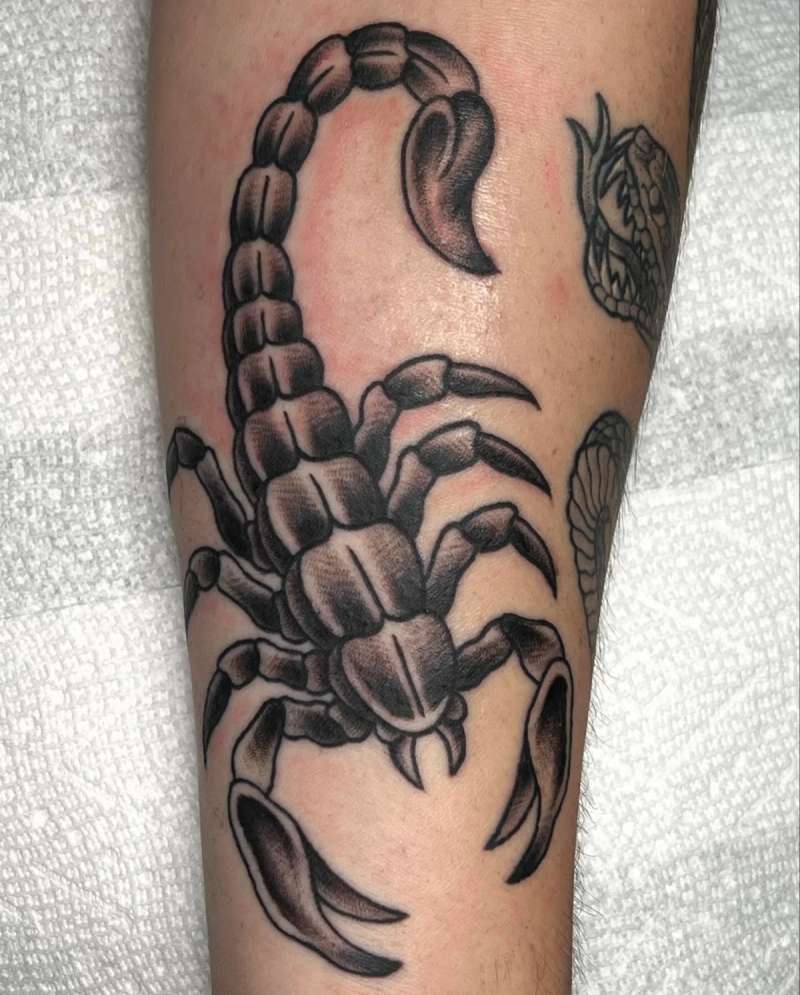 Blackwork scorpion tattoo on forearm