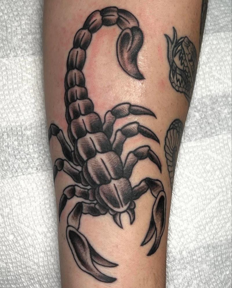 Blackwork scorpion tattoo on forearm