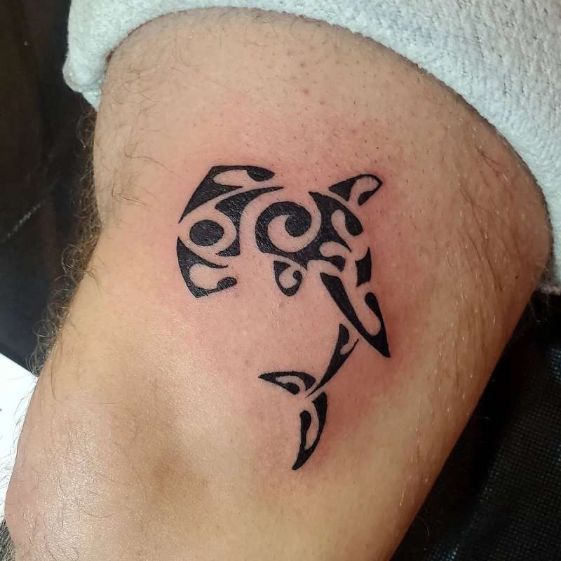 Black tribal dolphin tattoo on upper arm