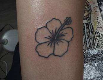 Hannah portfolio work