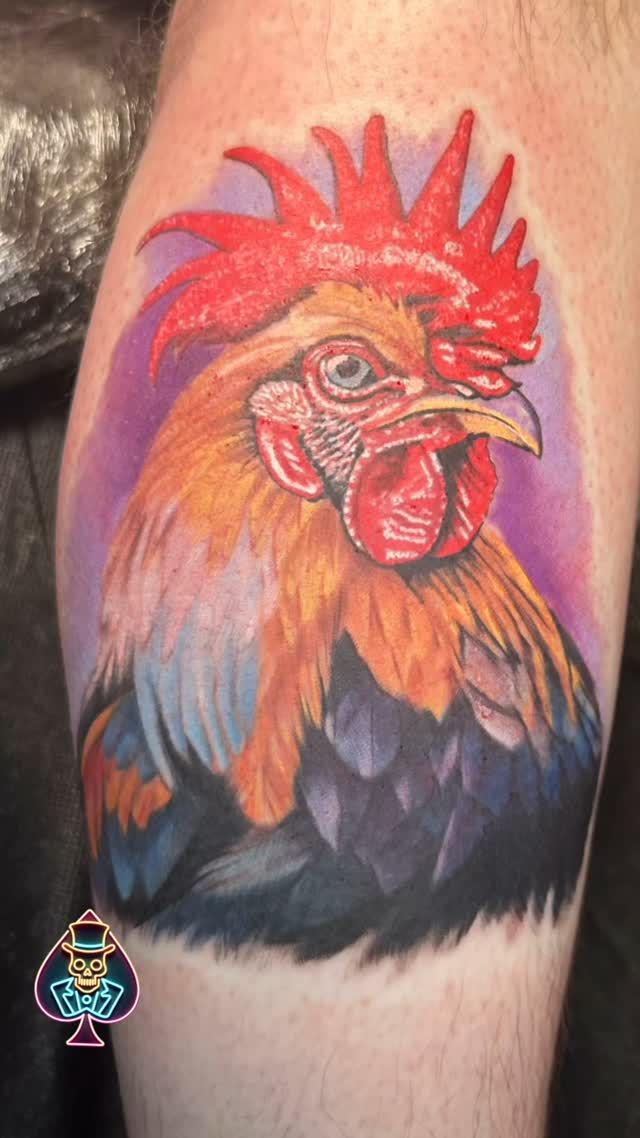 Vibrant Neo Traditional rooster tattoo on calf