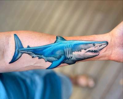 colorful shark tattoo on forearm
